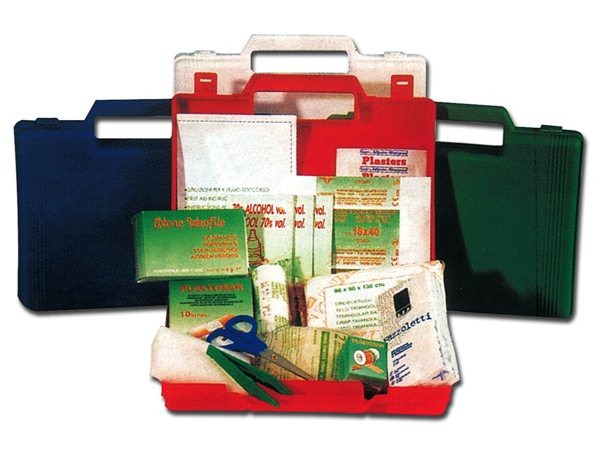 FAMILY FIRST AID CASE