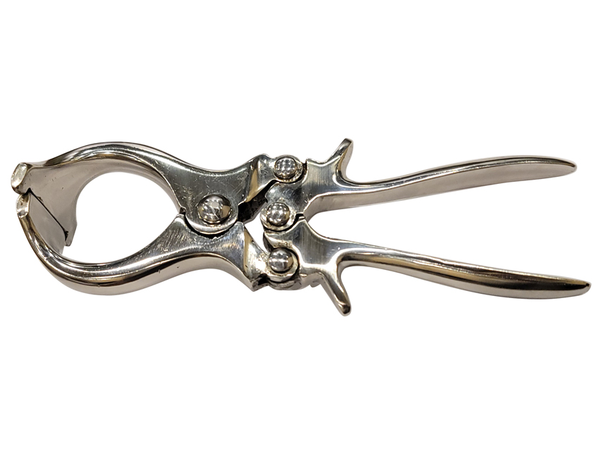 BURDIZZO CASTRATOR FORCEPS - 22 cm