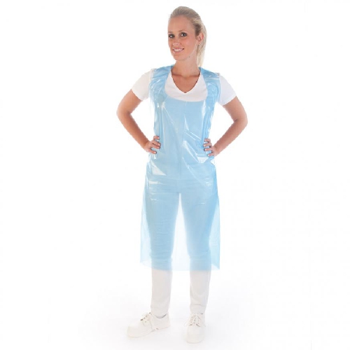 AIZSIENAMI PRIEKŠAUTI, ZILI