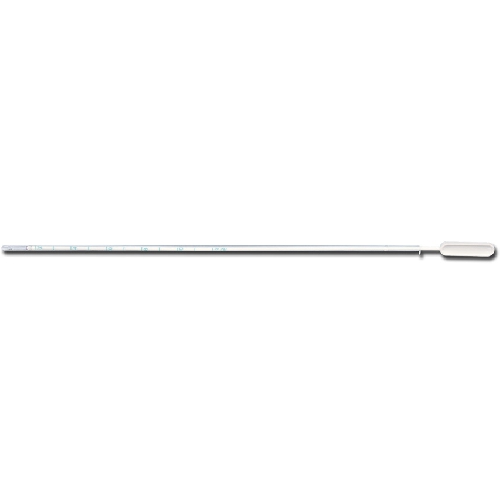 PIPELLA AR 4 CAURUMIEM