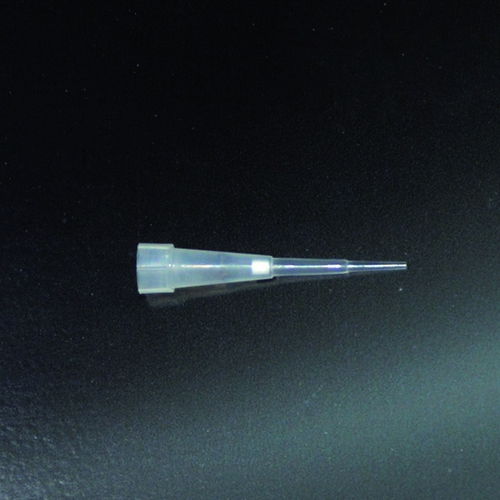 PIPEŠU UZGAĻI KASTĪTĒ