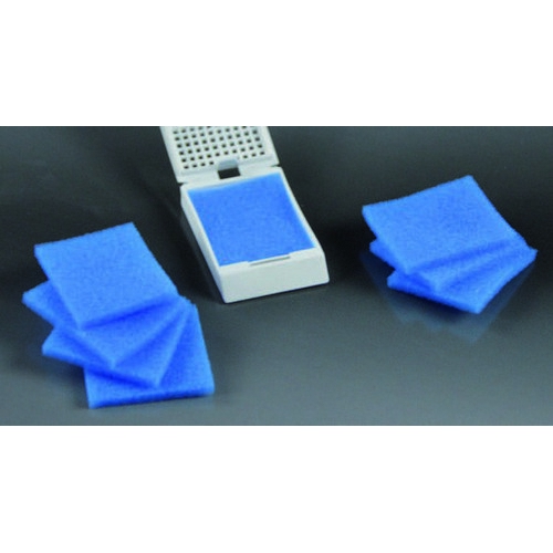 DROŠĪBAS BIOPSIJAS POLSTERIS