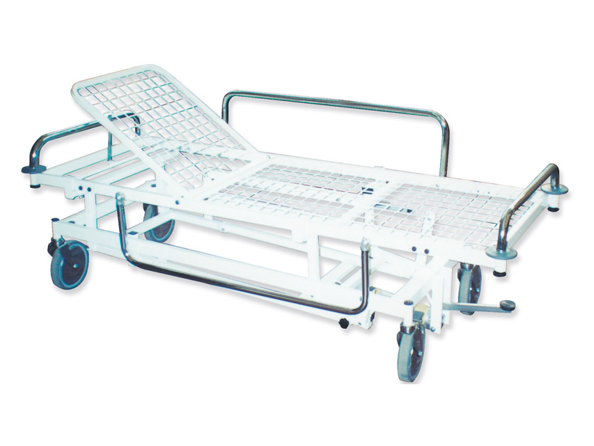 Trendelenburga guļrati