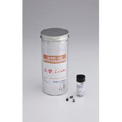 Aspergillus brasiliensis ATCC 16404