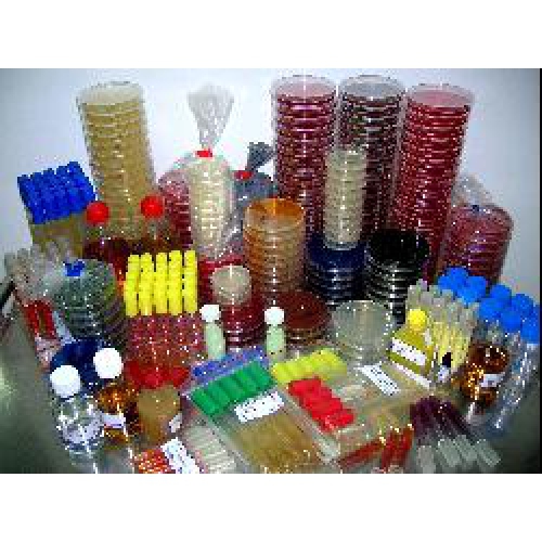 columbia + 5% bs/chocolate agar + pv + b