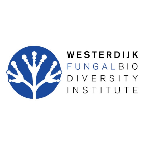 Hymenoscyphus fraxineus CBS 122504