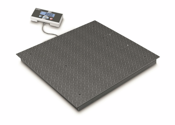 Floor scale